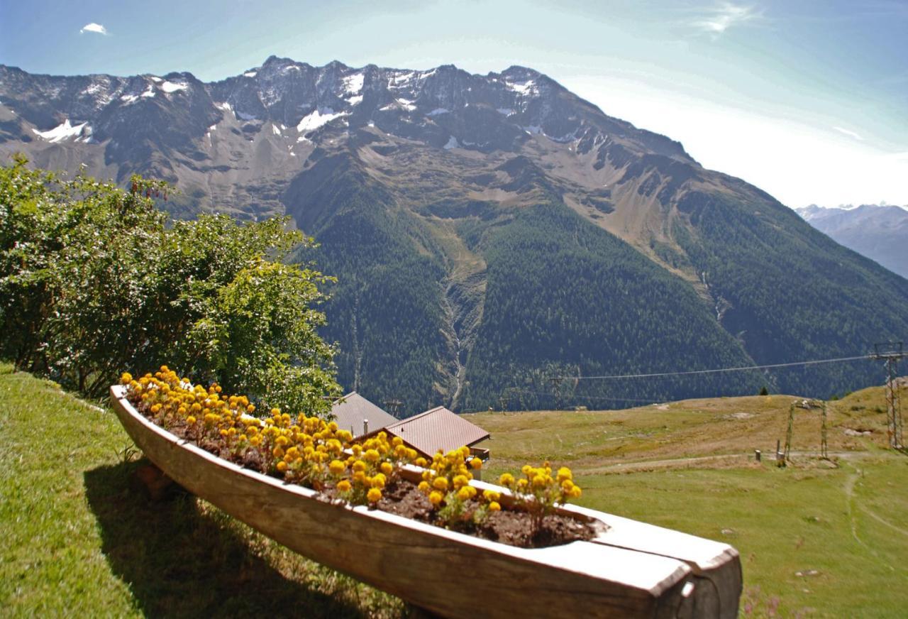Alpenhotel Zur Wildi Lauchernalp Hotel